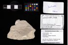 Foto (Objekt + Etikett) von Tanidromites sp.  (NHMW-GEO-2014-0194-0988)